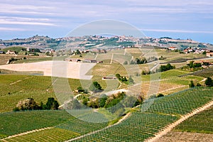 Langhe vineyards landscape near Barolo in springtime. Viticulture, Piedmont, Italy, Unesco heritage. Dolcetto, Barbaresco wine photo