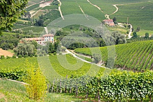 Langhe wine district, Italy