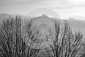 Langhe winter foggy panorama. Black and white photo