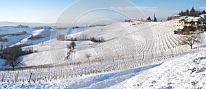 Langhe winter snowed panorama. Color image