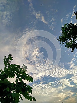 Langit di senja hari