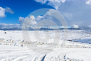 Langjokull Glacier in Iceland