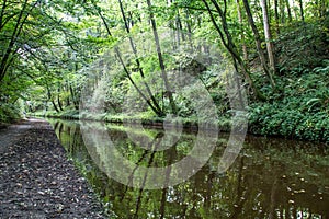 Langollen Canal at Chirk Trees reflectiions