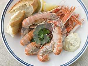 Langouste with Garlic Mayonnaise Lemon