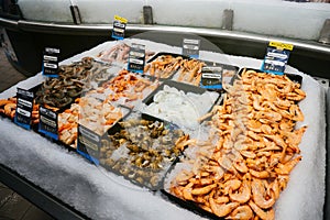 langoustine, bulot cuit, noix saint jacques, crevettes, calamar,