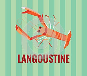 Langoustine - drawing on green background.