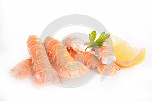 Langoustine