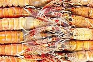 Langoustines