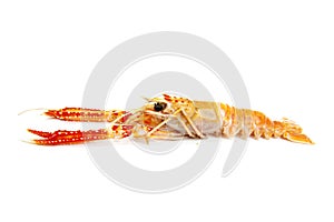 Langoustines