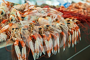 Langoustines at fish market