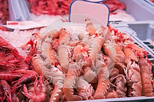 Langoustines and prawns at fish market