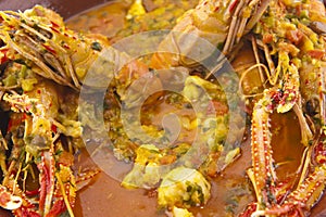 Langoustines Stew