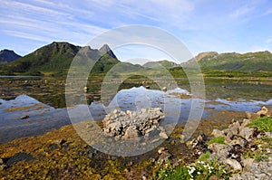 Langoya Island between Klo and Stregelvag, Vesteralen Archipelago, Norland County, Norway