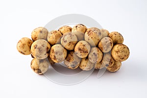 Langsad on white background