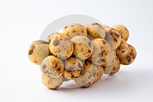 Langsad on white background