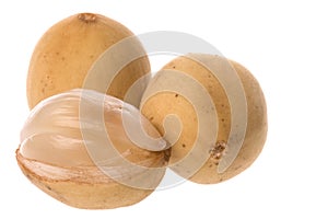 Langsat Fruit Isolated