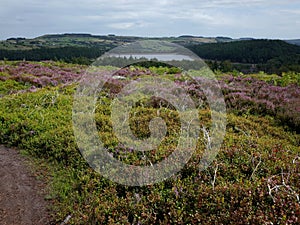 Langsett Resevoir in the Peak District National Park photo