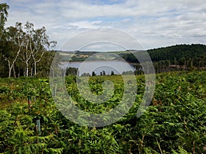 Langsett Resevoir in the Peak District National Park photo