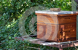 A langstroth beehive isolated in a field