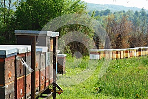Langstroth hives set on an iron platform. Selective focus.
