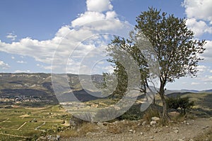 Languedoc - panorama photo