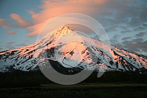 Lanin Volcano, Patagonia