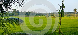 Lanka beautiful woow