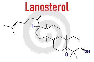 Lanosterol molecule. Investigated for treatment of cataract. Skeletal formula.