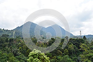 Lanscape beautri green leaf and two maountain panoramic from pangalengan bandung