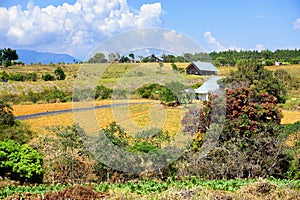 Lanscape of Countryside in Mesa de los Santos, Colombia