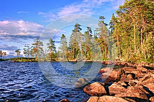 Lanscape with lake and pines Karelia