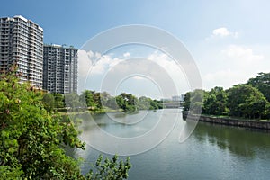 Lanscape view of condomium with trees near river