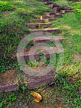 The lanscape view of walking path at Bukit Suria, Botanical Garden Putrajaya , MalaysiaOrchid