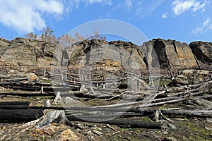 Lanscape after wildfire, Bohemian Switzerland, Czechia