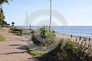 Lanscaped sea promenade