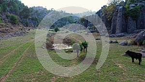 Lansdcape with rock formations, farmers and cow on the green pasture.