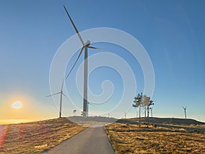 Lansdcape with wind turbines. Renewable energy on the middle of Serra da Freita Arouca Geopark, in center of Portugal