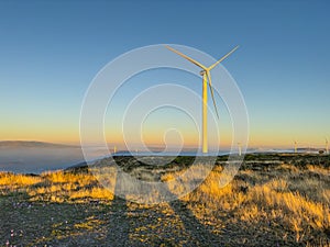 Lansdcape with wind turbines. Renewable energy on the middle of Serra da Freita Arouca Geopark, in center of Portugal