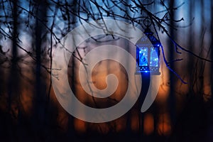 Lantern with blue Christmas lights hanging in tree branch.