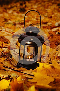 Lantern in bright autumn leafes