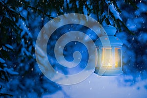 Lantern for Christmas in the woods under the tree. Lantern with photo