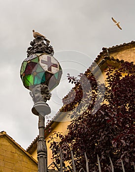 Lantern with Collared Dove