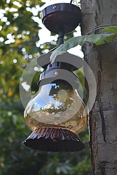 A lantern with colorful design hung on a tree