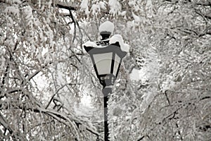 Lantern, covered with snow between the frosty trees