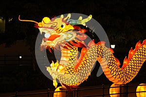 Lantern Festival in Singapore, Dragon photo