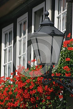 Lantern with geraniums