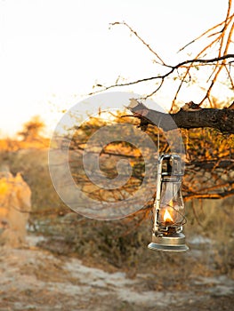 Lantern hanging on tree branch in a safari bush camp, Onguma Game Reserve, Namibia. photo