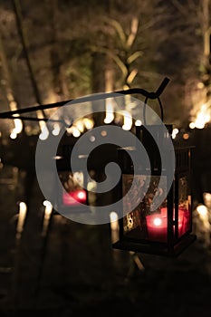 Lantern illuminated in a Dark woods  or forest