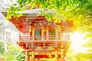 Lantern in Japanese Tea Garden at sunset in the Golden Gate Park, San Francisco