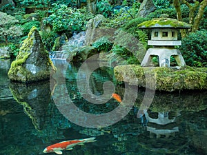 A Lantern and Koi in the Portland Japanese Garden